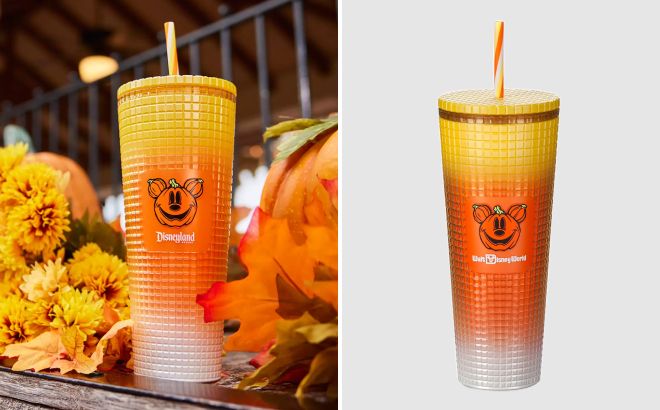 Candy-corn Mickey pumpkin tumblers for Disneyland and Walt Disney World, one styled with autumn flowers and one on a plain background